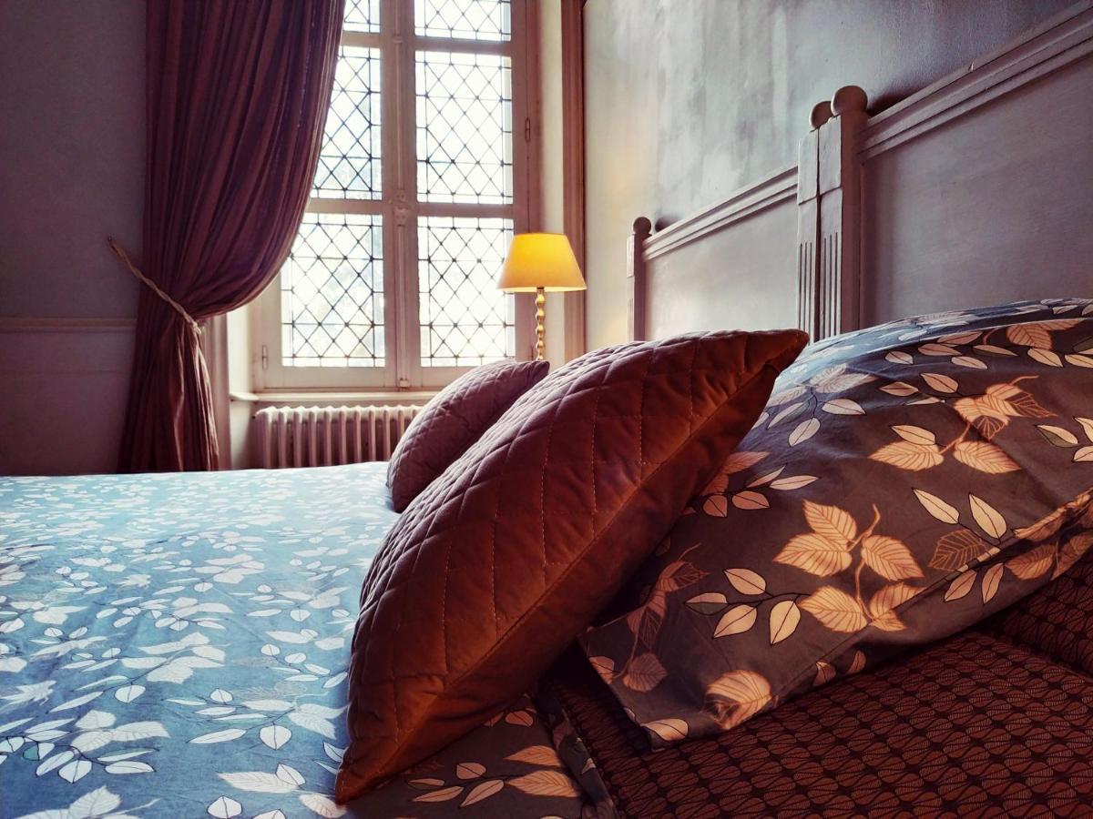 Chateau De Belle-vue Bed & Breakfast Sainte-Cecile (Vendee)